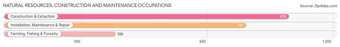 Natural Resources, Construction and Maintenance Occupations in Platte County
