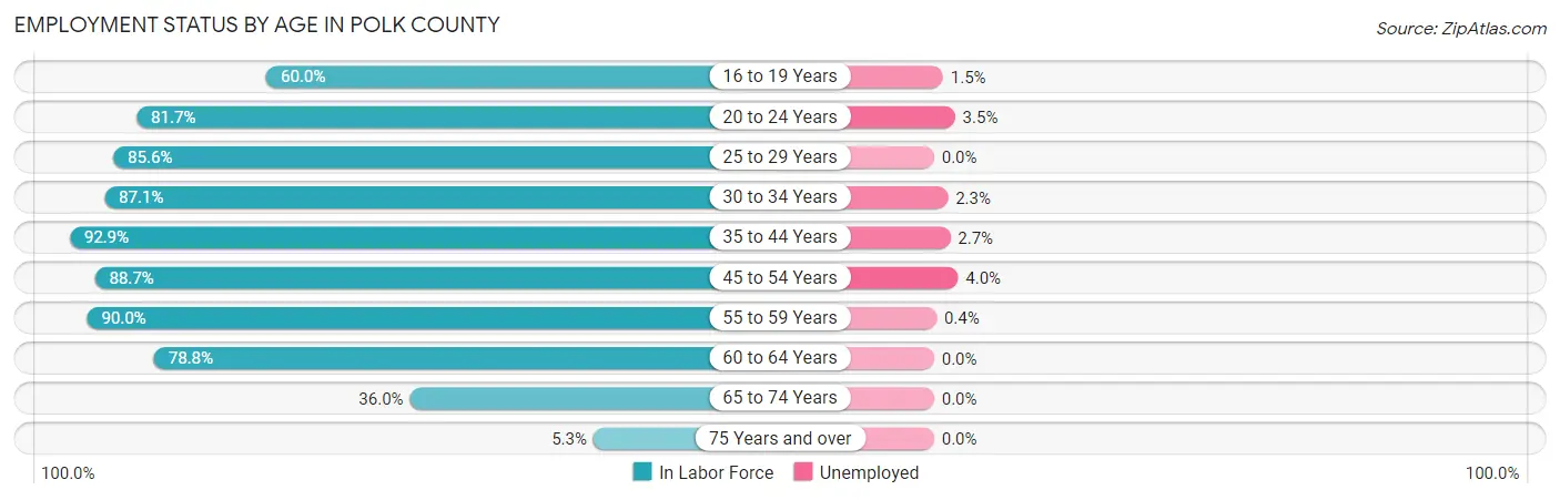 Employment Status by Age in Polk County