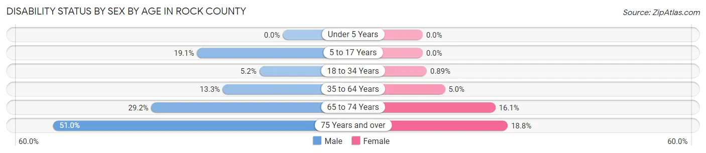 Disability Status by Sex by Age in Rock County