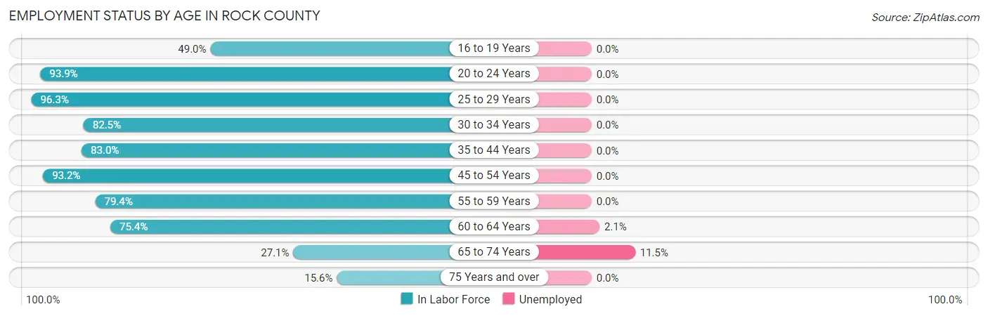 Employment Status by Age in Rock County