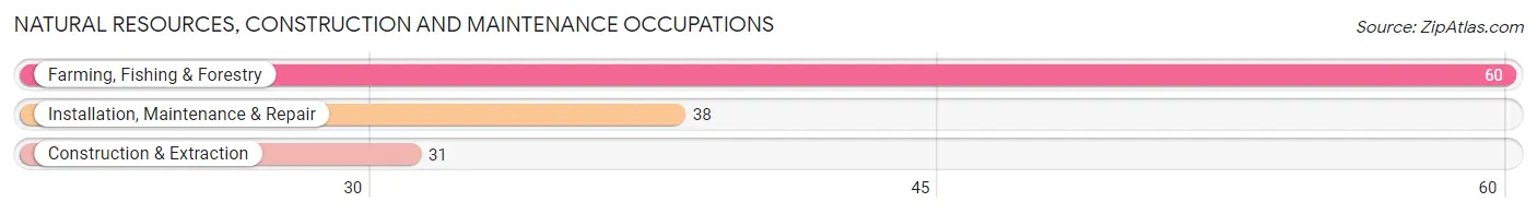 Natural Resources, Construction and Maintenance Occupations in Rock County