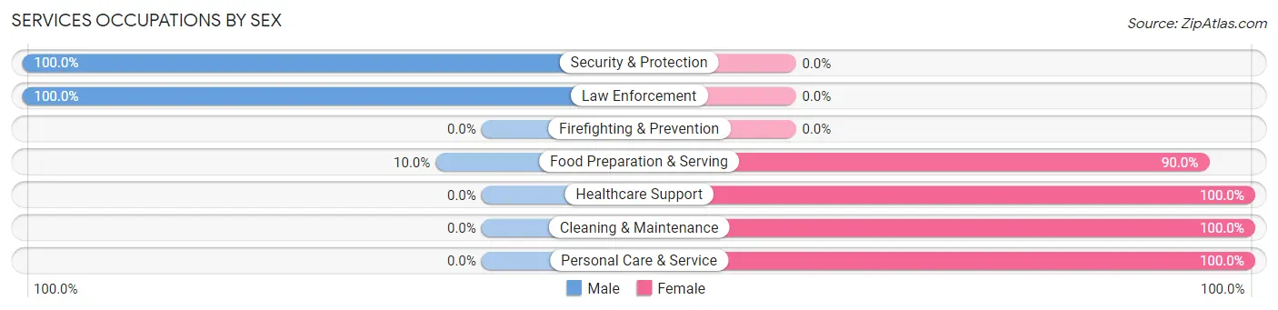 Services Occupations by Sex in Rock County