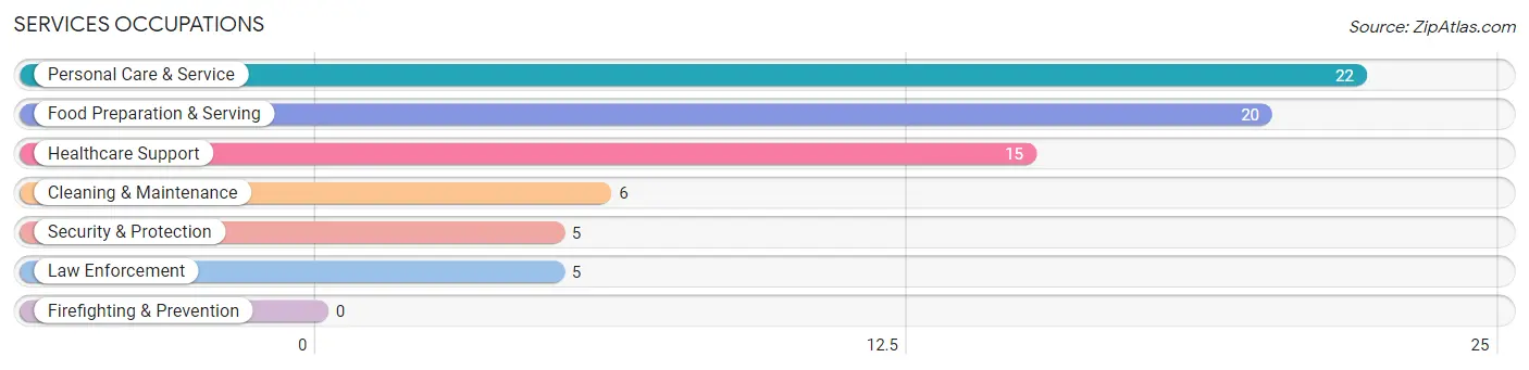 Services Occupations in Rock County