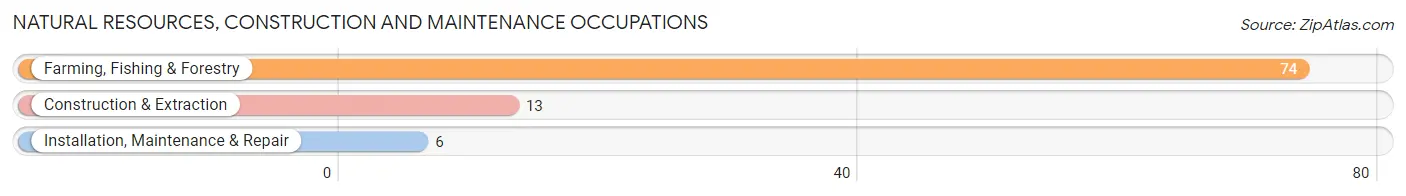 Natural Resources, Construction and Maintenance Occupations in Sioux County