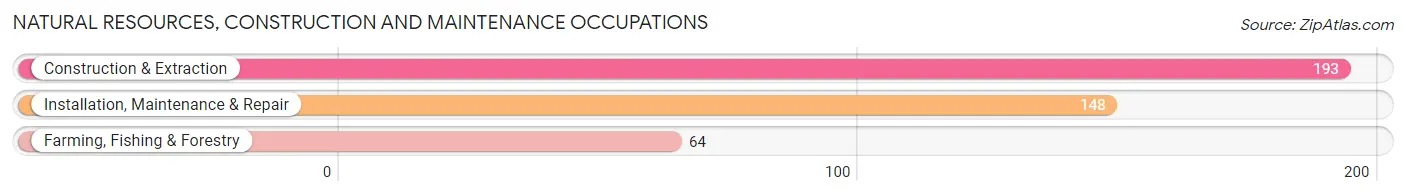 Natural Resources, Construction and Maintenance Occupations in Stanton County