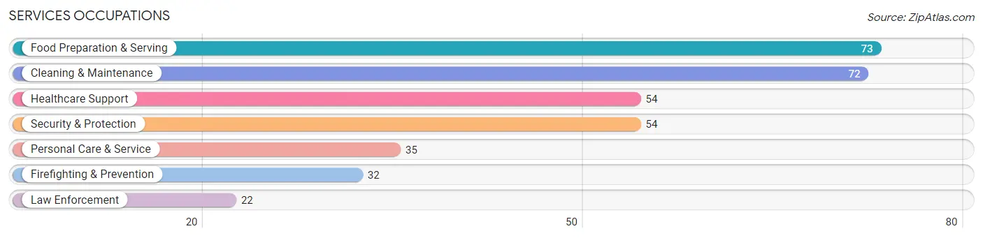 Services Occupations in Stanton County