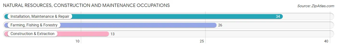 Natural Resources, Construction and Maintenance Occupations in Thomas County