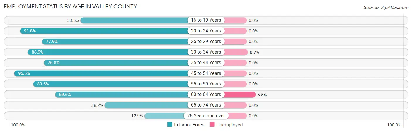 Employment Status by Age in Valley County