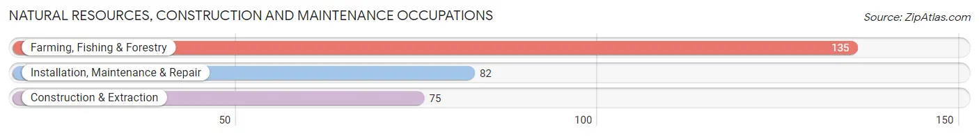 Natural Resources, Construction and Maintenance Occupations in Valley County