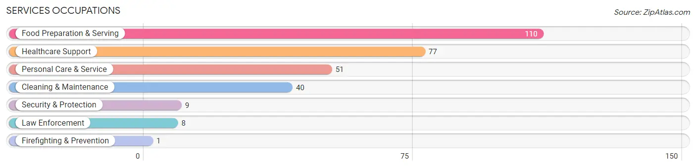 Services Occupations in Valley County