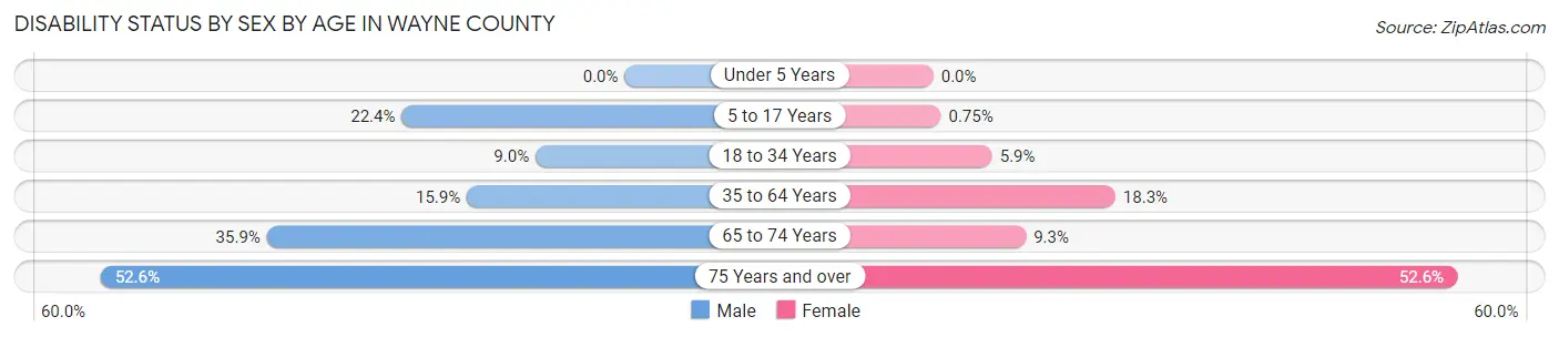 Disability Status by Sex by Age in Wayne County