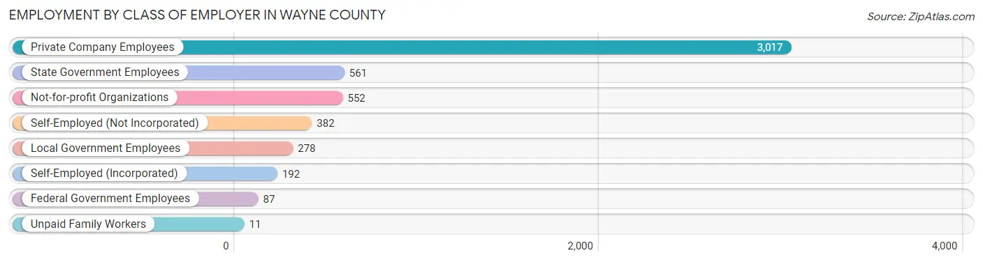 Employment by Class of Employer in Wayne County