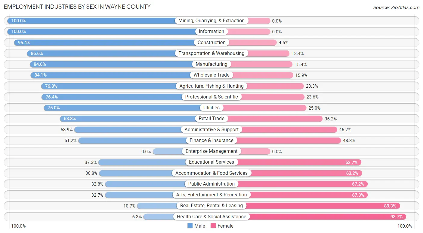 Employment Industries by Sex in Wayne County