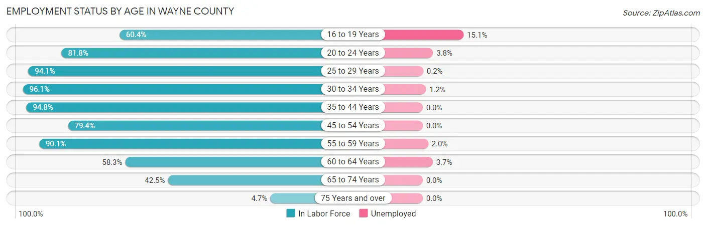 Employment Status by Age in Wayne County