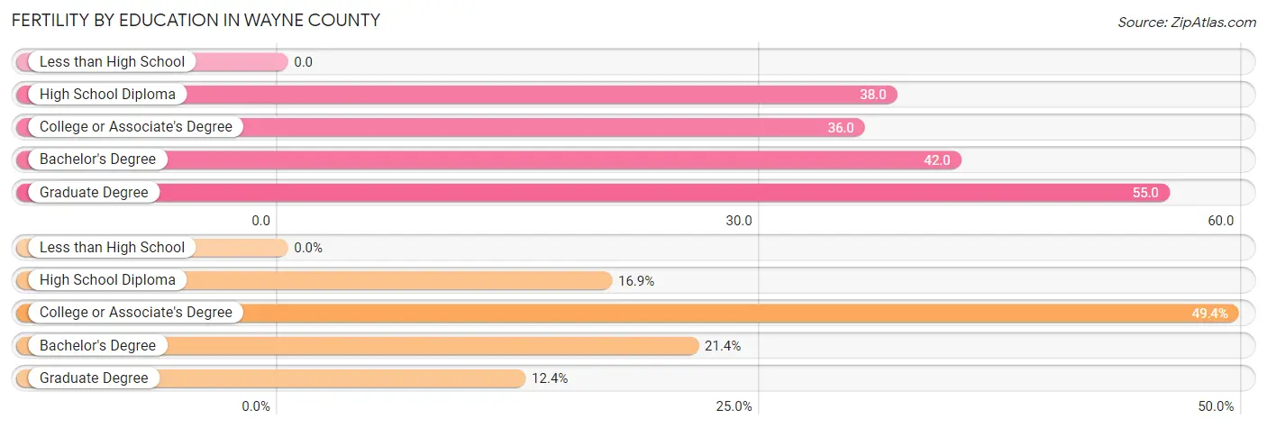 Female Fertility by Education Attainment in Wayne County