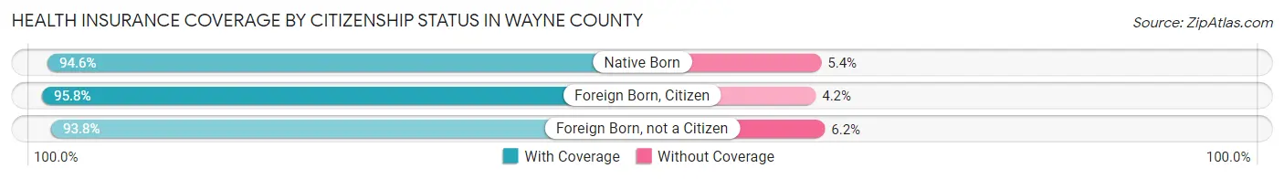 Health Insurance Coverage by Citizenship Status in Wayne County