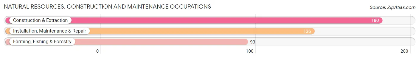 Natural Resources, Construction and Maintenance Occupations in Wayne County