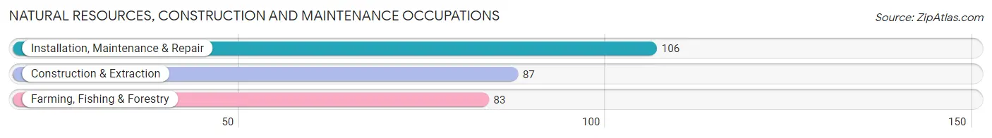 Natural Resources, Construction and Maintenance Occupations in Webster County