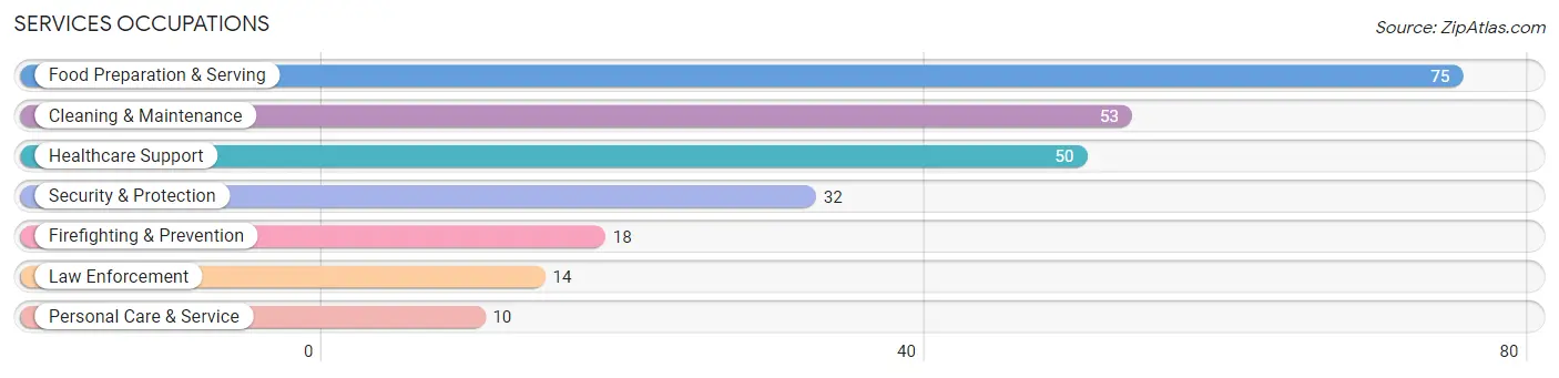 Services Occupations in Webster County