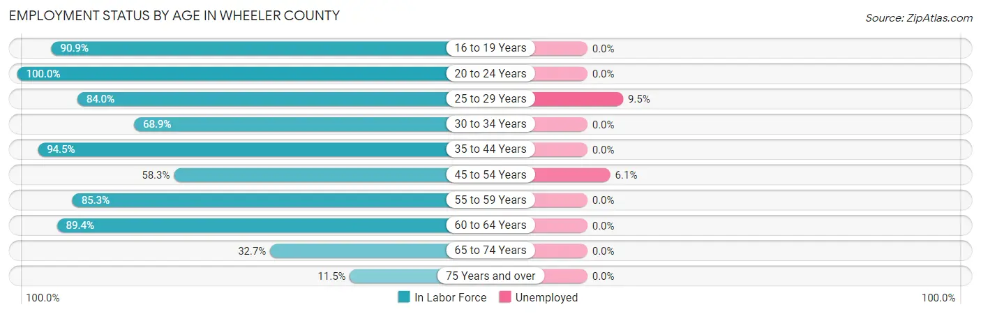 Employment Status by Age in Wheeler County