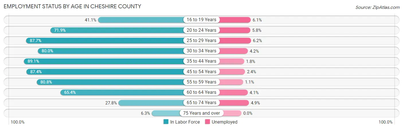 Employment Status by Age in Cheshire County