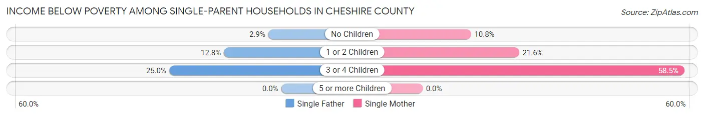 Income Below Poverty Among Single-Parent Households in Cheshire County