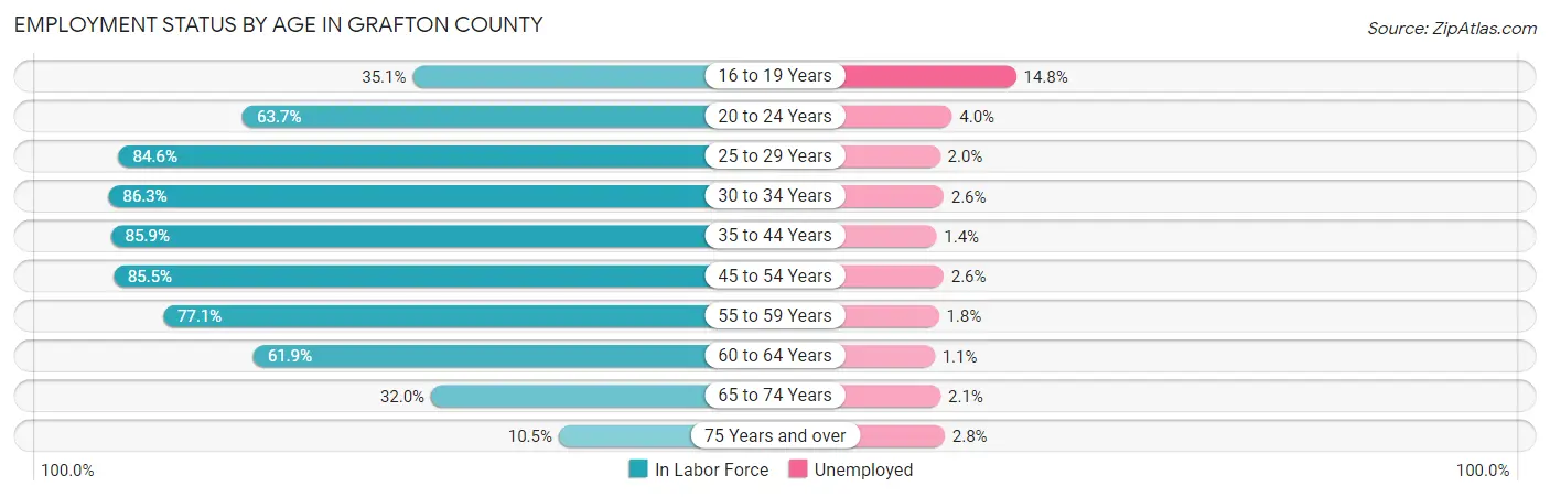 Employment Status by Age in Grafton County