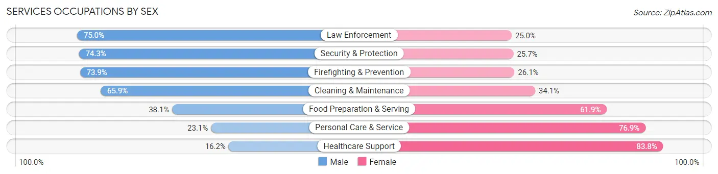 Services Occupations by Sex in Strafford County