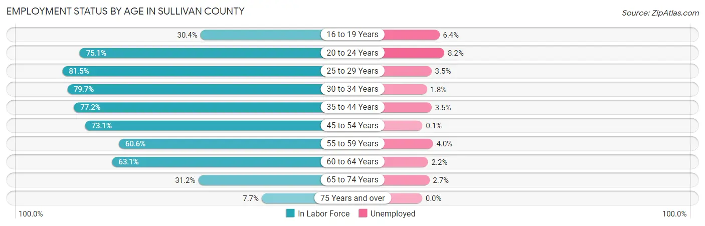 Employment Status by Age in Sullivan County