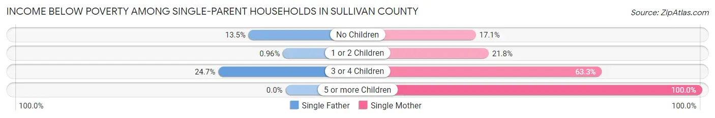 Income Below Poverty Among Single-Parent Households in Sullivan County