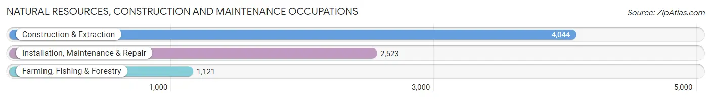 Natural Resources, Construction and Maintenance Occupations in Cumberland County