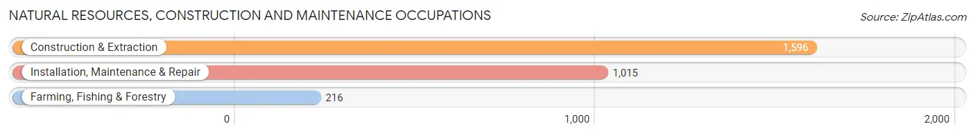 Natural Resources, Construction and Maintenance Occupations in Salem County