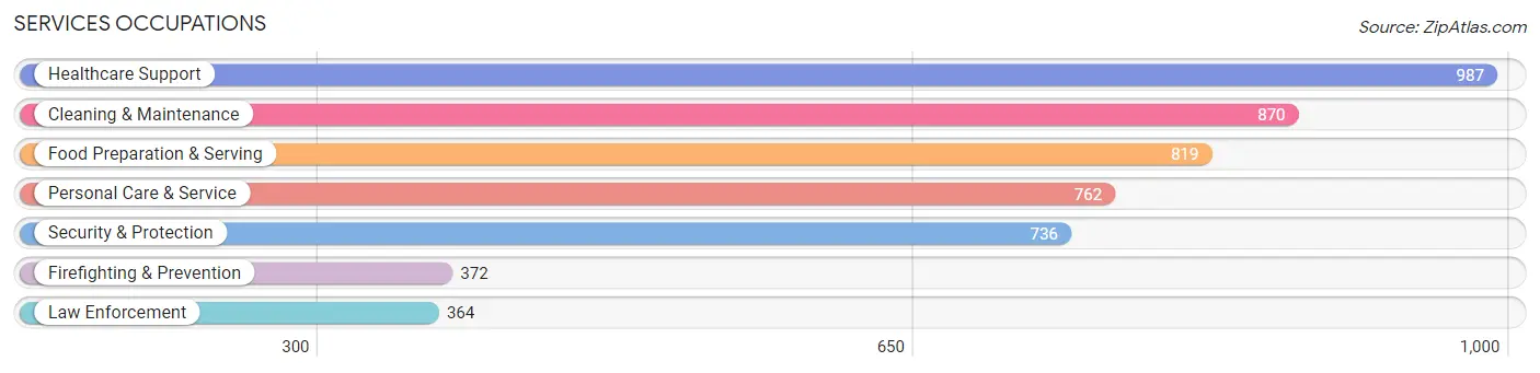 Services Occupations in Salem County