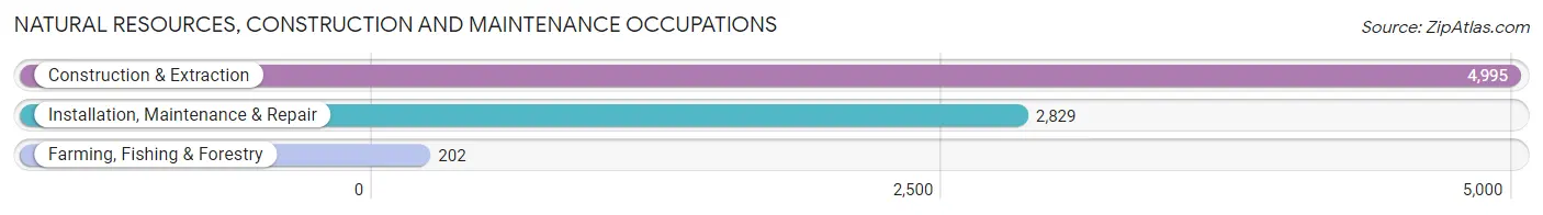 Natural Resources, Construction and Maintenance Occupations in Sussex County