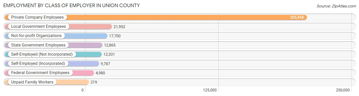 Employment by Class of Employer in Union County