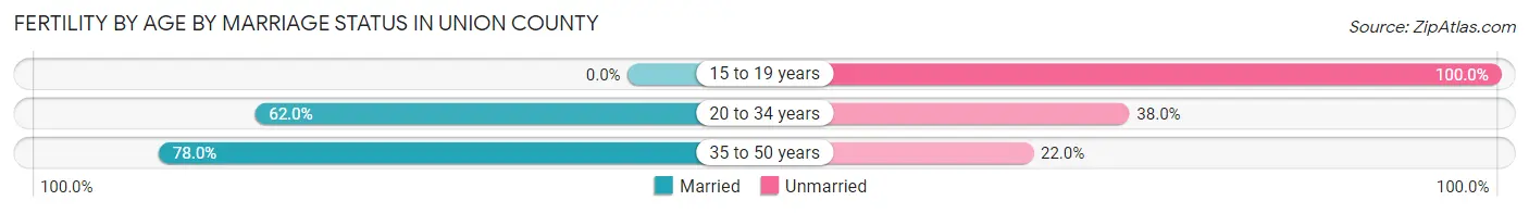 Female Fertility by Age by Marriage Status in Union County