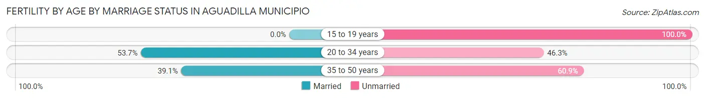 Female Fertility by Age by Marriage Status in Aguadilla Municipio