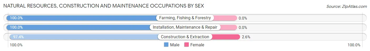 Natural Resources, Construction and Maintenance Occupations by Sex in Aguas Buenas Municipio