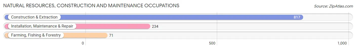 Natural Resources, Construction and Maintenance Occupations in Aguas Buenas Municipio