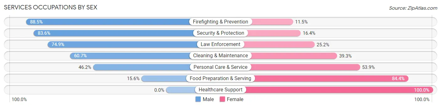 Services Occupations by Sex in Arroyo Municipio