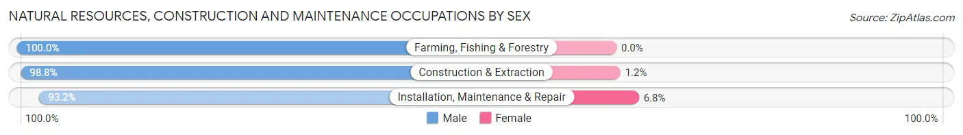 Natural Resources, Construction and Maintenance Occupations by Sex in Cabo Rojo Municipio