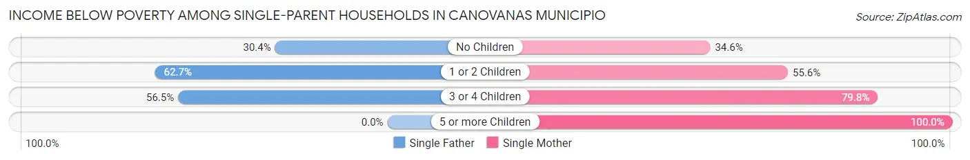 Income Below Poverty Among Single-Parent Households in Canovanas Municipio