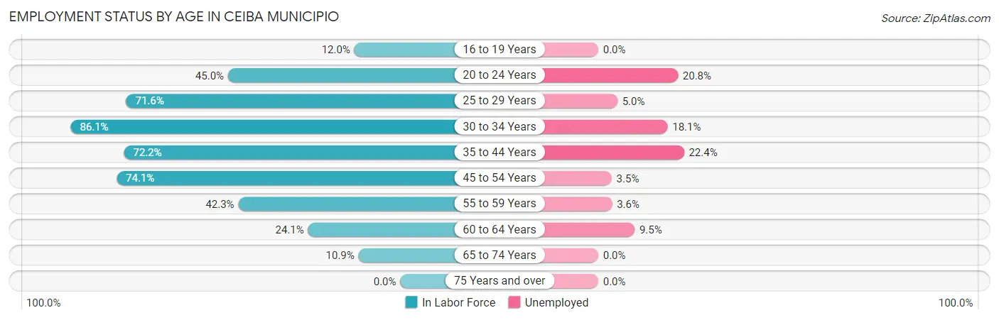 Employment Status by Age in Ceiba Municipio