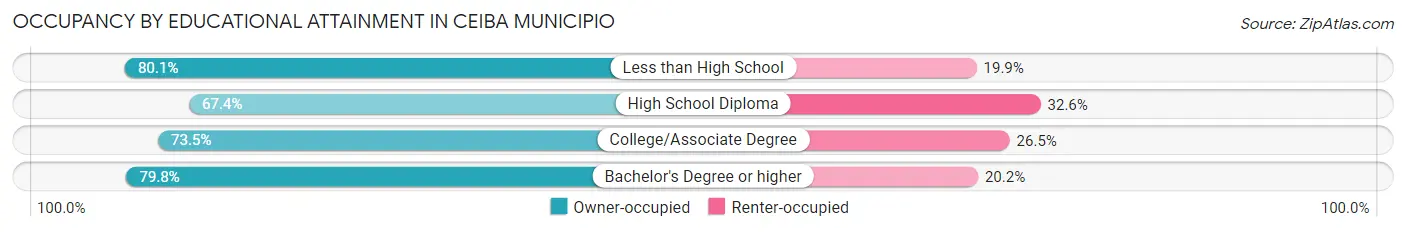 Occupancy by Educational Attainment in Ceiba Municipio