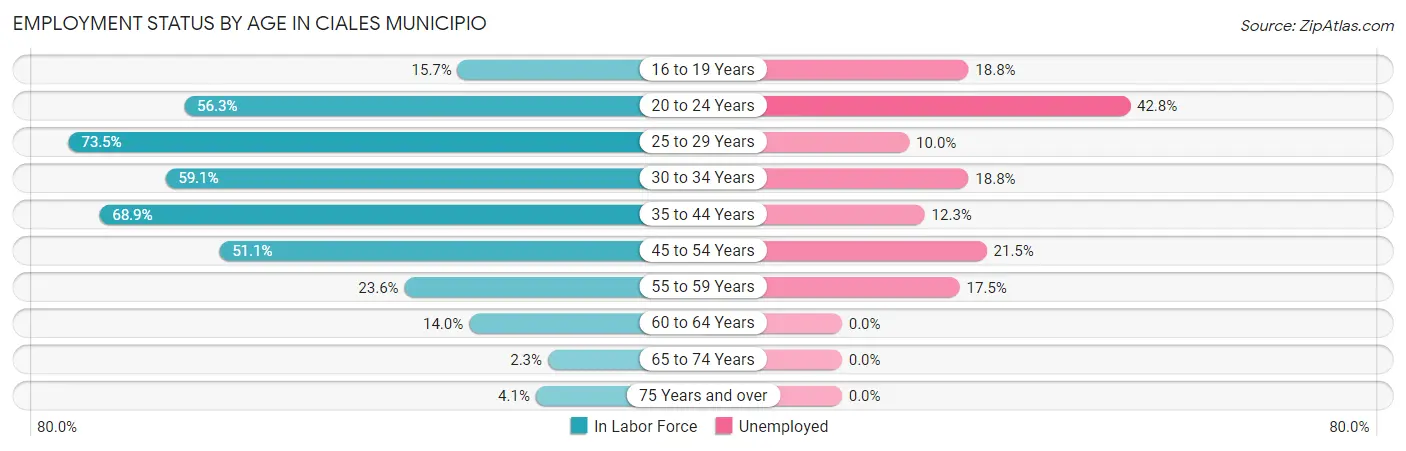 Employment Status by Age in Ciales Municipio