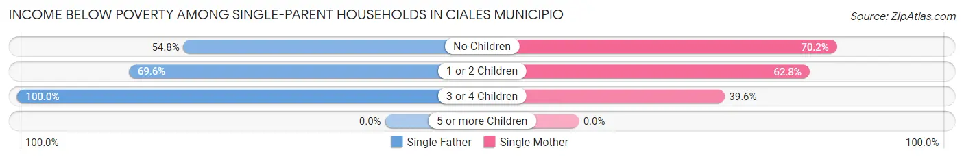 Income Below Poverty Among Single-Parent Households in Ciales Municipio