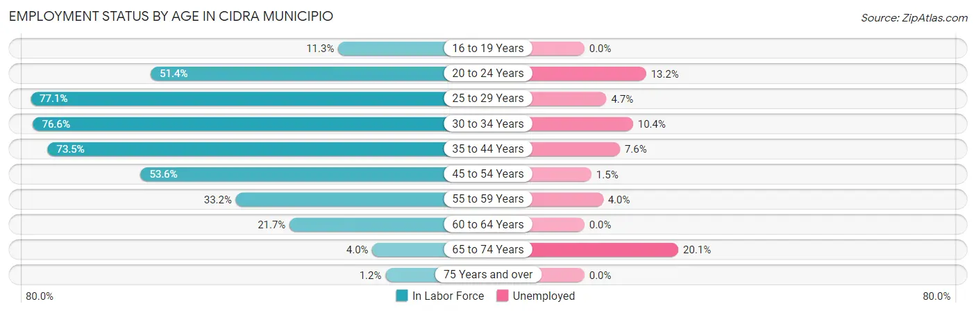 Employment Status by Age in Cidra Municipio