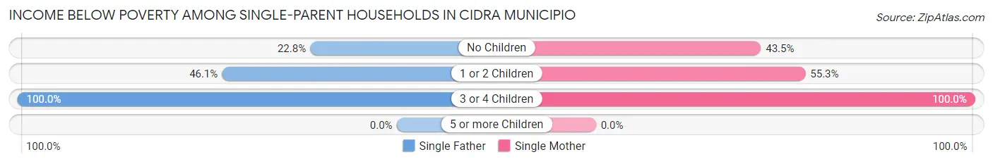 Income Below Poverty Among Single-Parent Households in Cidra Municipio