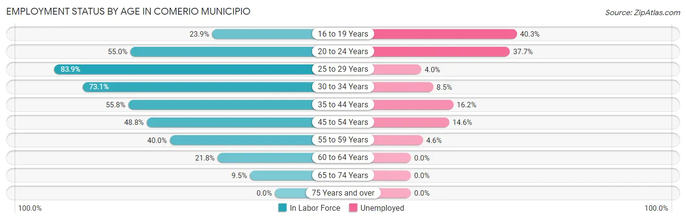Employment Status by Age in Comerio Municipio