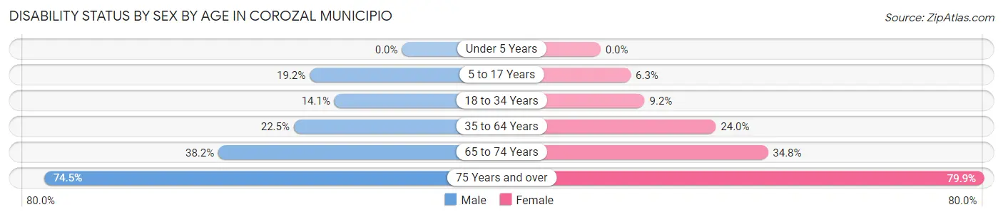 Disability Status by Sex by Age in Corozal Municipio